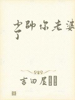 少帅你老婆又跑了封面