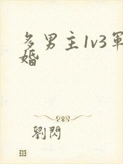 多男主1v3军婚