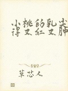 小桃的乳尖被吸得又红又肿