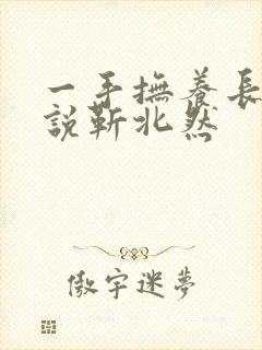 一手抚养长大小说靳北然