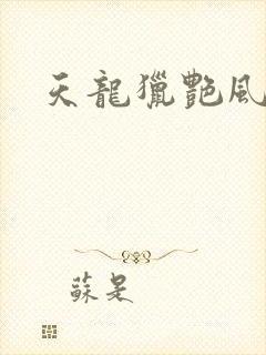 天龙猎艳风流
