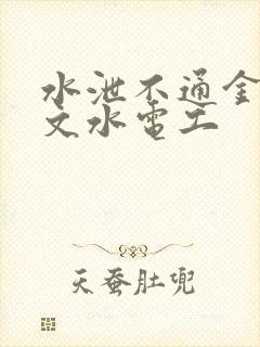 水泄不通金银原文水电工