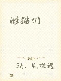 雌猫们