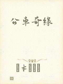 公车奇缘