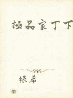 极品家丁下载封面