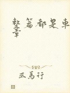 整篇都是车的文章