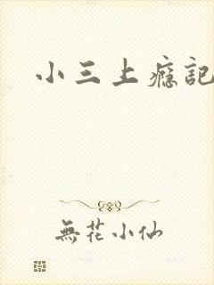 小三上瘾记封面