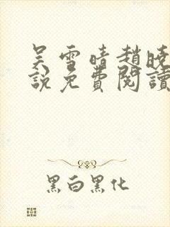 吴雪晴赵晓东小说免费阅读