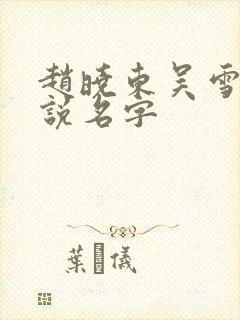 赵晓东吴雪晴小说名字