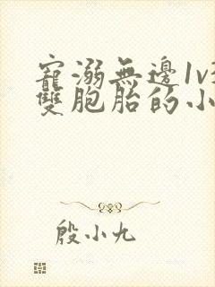 宠溺无边1v3双胞胎的小说封面