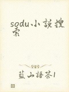 sodu小说搜索