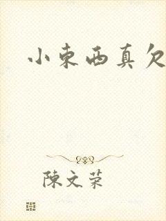 小东西真欠弄封面