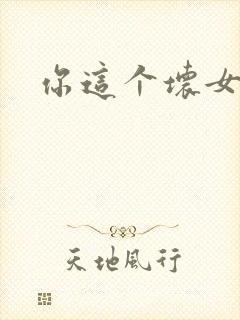 你这个坏女人封面