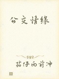 公交情缘