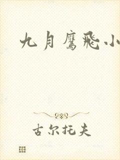 九月鹰飞小说封面