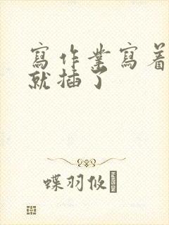 写作业写着写着就插了