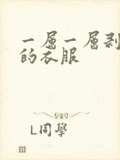 一层一层剥开你的衣服