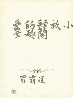 爱的释放小说 笔趣阁封面