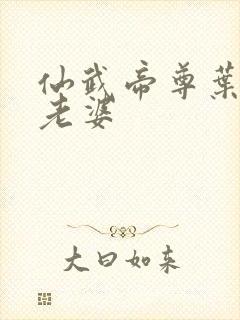 仙武帝尊叶辰的老婆封面