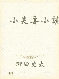 小夫妻小说
