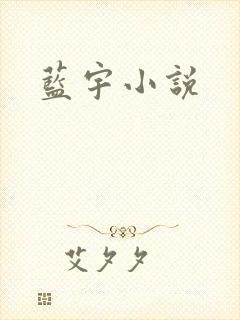 蓝宇小说