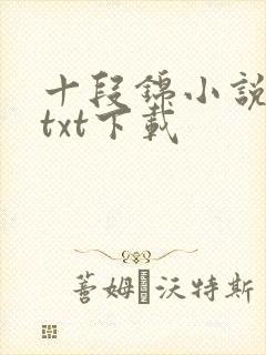 十段锦小说全本txt下载封面