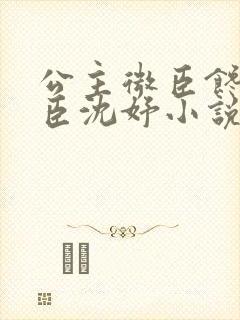 公主微臣馋了微臣沈妤小说