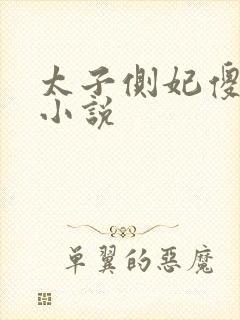 太子侧妃傻乎乎小说封面