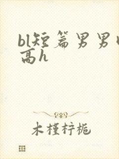 bl短篇男男肉高h