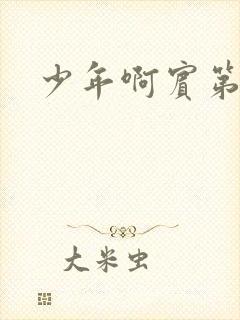 少年啊宾第二部