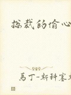 总裁的偷心娇妻