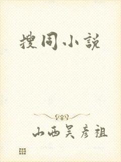 搜同小说