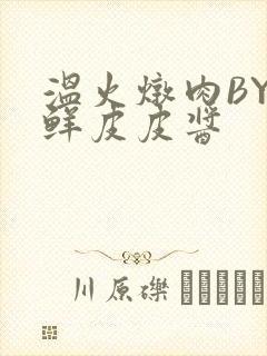 温火炖肉BY海鲜皮皮酱