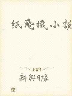 纸飞机小说