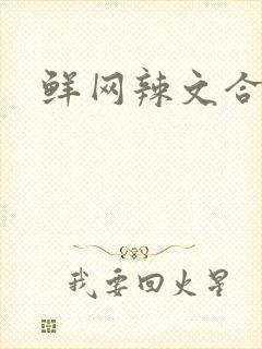 鲜网辣文合集