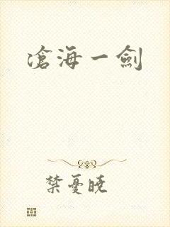 沧海一剑封面