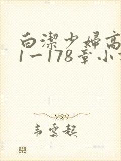 白洁少妇高义第1一178章小说封面