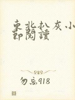 东北扒灰小说分节阅读