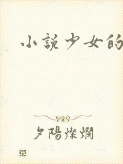 小说少女的心