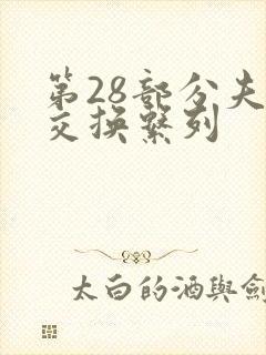 第28部分夫妇交换系列封面