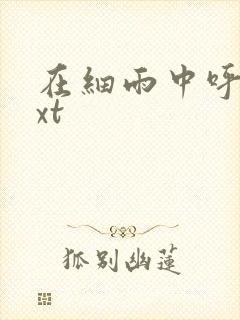 在细雨中呼喊txt