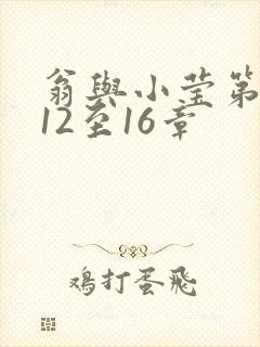 翁与小莹第十部12至16章