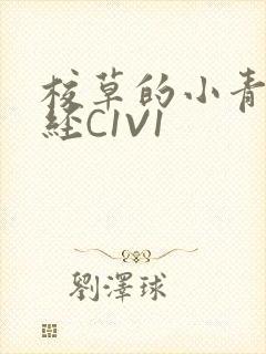 校草的小青梅不经C1V1