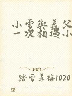 小雪与义父的第一次相遇小说封面