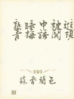 熟睡中被进了H青梅诱哄视频