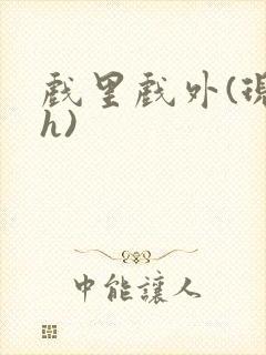 戏里戏外(现场h)