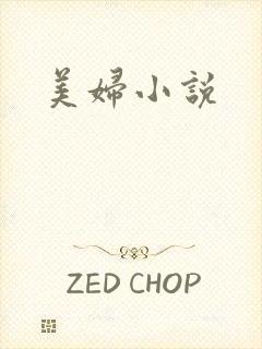 美妇小说封面