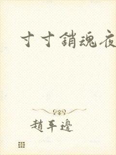 寸寸销魂夜春光