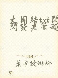 大团结txt闪闪发光笔趣阁