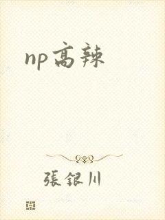 np高辣